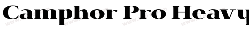 Camphor Pro Heavy字体转换